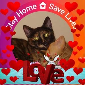 Meet your Posher, Jennie